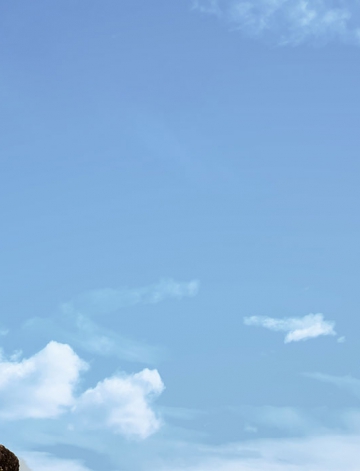 One Day, a Machine Will Smell Whether You’re Sick